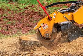 Best Storm Damage Tree Cleanup  in Triana, AL